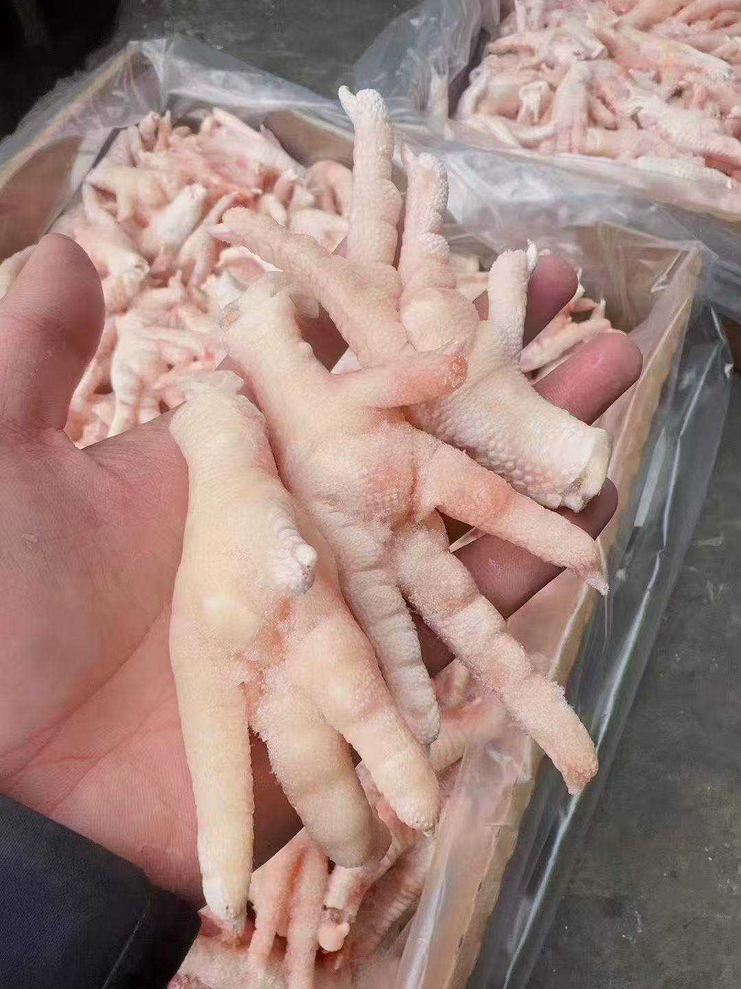 凤爪产品